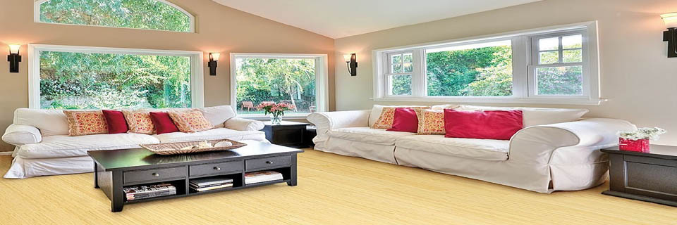 house-cleaning